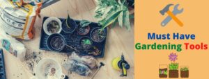 Tool-it 2020 Best Gardening Investment